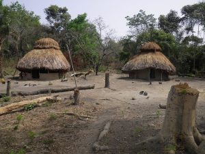 A village in the jungle of Sierra Leone